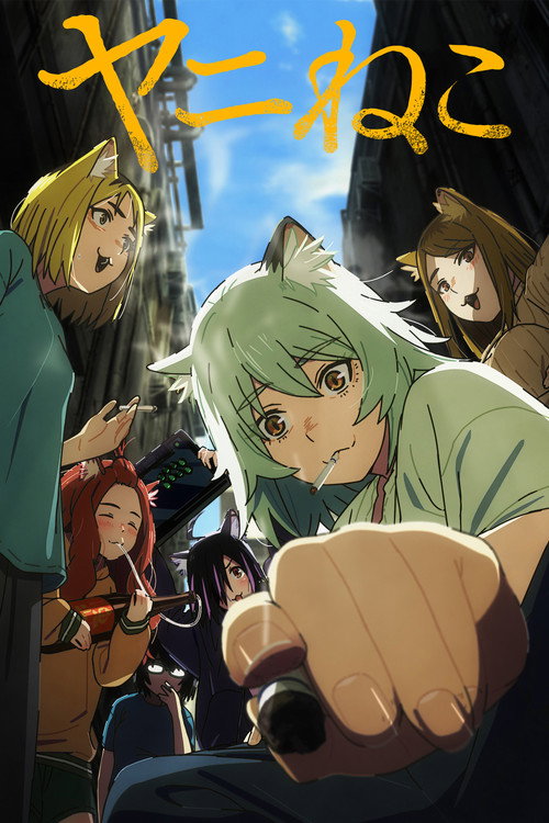 Assistir Chainsmoker Cat online