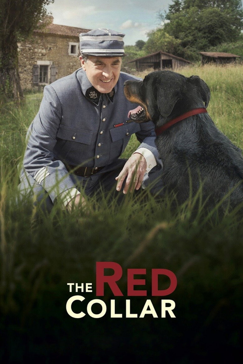 Como Cães de Guerra